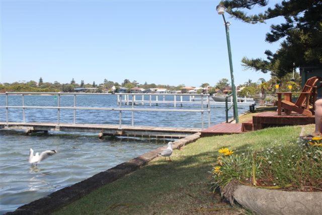 Black Swan Waterfront Motel (Adults Only) Swansea Exterior foto